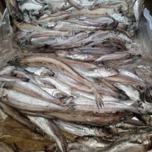 Panla Fish